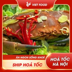 cua nâu Nauy Vietfood nhập khẩu